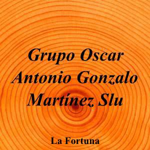 Grupo Oscar Antonio Gonzalo Martínez Slu