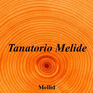 Tanatorio Melide