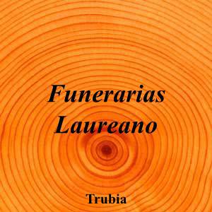 Funerarias Laureano|Funeraria|funerarias-laureano|4,0|2|Calle Suárez Inclán, 20, 33119 Trubia, Asturias|Trubia|858|asturias|Asturias||985 78 55 21|-|https://goo.gl/maps/A9qUQjaf2cToSpab8|