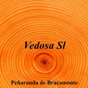 Vedosa Sl