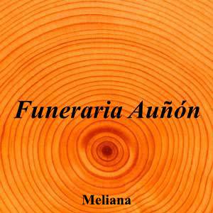 Funeraria Auñón|Funeraria|funeraria-aunon|||Carrer Lucas Ferrer Riera, 3, 46133 Meliana, Valencia|Meliana|899|valencia|Valencia||961 49 88 05|-|https://goo.gl/maps/ghs9SD99ezp7qiu99|
