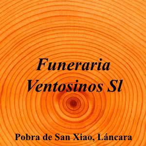 Funeraria Ventosinos Sl