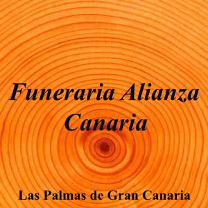 Funeraria Alianza Canaria|Funeraria|funeraria-alianza-canaria|||Calle José Franchy Roca, 13, 35007 Las Palmas de Gran Canaria, Las Palmas|Las Palmas de Gran Canaria|880|las-palmas|Las Palmas|||-|https://goo.gl/maps/nn97vvpu6XXW5GQC7|