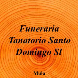 Funeraria Tanatorio Santo Domingo Sl