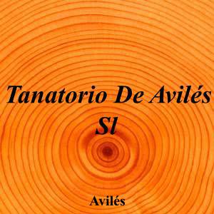 Tanatorio De Avilés Sl