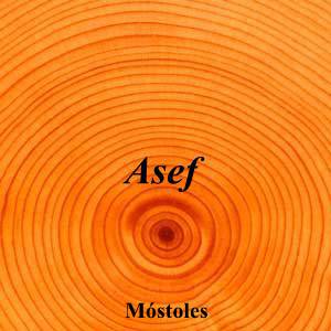 Asef|Funeraria|asef|||Calle Fausto Fraile, 5, 28934 Móstoles, Madrid|Móstoles|884|madrid|Madrid||916 14 44 94|-|https://goo.gl/maps/fRJYZBhSwb9Qxcj59|