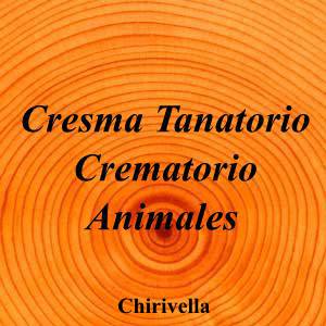 Cresma Tanatorio Crematorio Animales|Funeraria|cresma-tanatorio-crematorio-animales|5,0|239|Carrer dels Carreters, 19, 46950 Xirivella, Valencia|Chirivella|899|valencia|Valencia|cresma.es|963 31 30 27|cresma@cresma.es|https://g.page/cresmacrematoriomascotas?share|