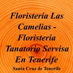 Floristería Las Camelias - Floristería Tanatorio Servisa En Tenerife|Funeraria|floristeria-las-camelias-floristeria-tanatorio-servisa-en-tenerife|3,0|1|Ctra. Santa Cruz Laguna, 5, 38001 Santa Cruz de Tenerife|Santa Cruz de Tenerife|896|santa-cruz-de-tenerife|Santa Cruz de Tenerife||922 53 78 25|-|https://goo.gl/maps/CGd38nyzpAoEk9eM9|