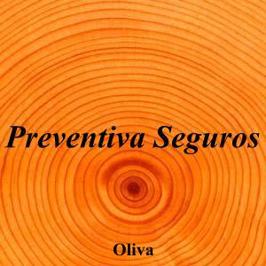 Preventiva Seguros