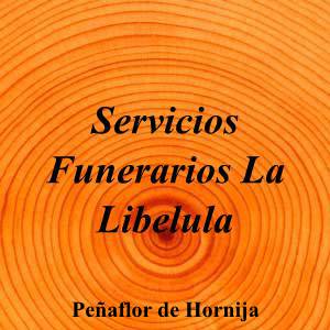 Servicios Funerarios La Libelula