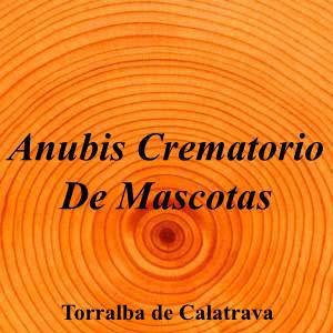 Anubis Crematorio De Mascotas|Servicio de cremación|anubis-crematorio-mascotas|4,6|5|Poligono industrial de la vega Calle dehesa del campo nave 8, 13160 Torralba de Calatrava, Cdad. Real|Torralba de Calatrava|869|ciudad-real|Ciudad Real|anubiscrematorio.com|625 02 84 95|-|https://goo.gl/maps/XA3ixDpYPshae9hv5|
