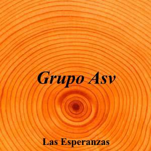 Grupo Asv