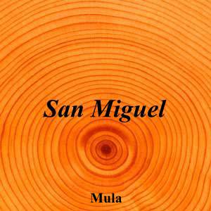 San Miguel