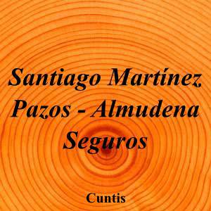 Santiago Martínez Pazos - Almudena Seguros