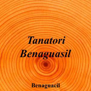 Tanatori Benaguasil