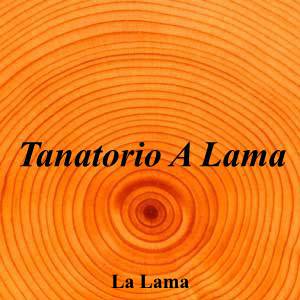 Tanatorio A Lama