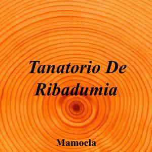 Tanatorio De Ribadumia