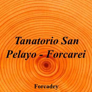 Tanatorio San Pelayo - Forcarei