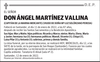 DON  ÁNGEL  MARTÍNEZ  VALLINA