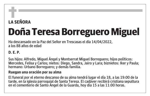 Doña Teresa Borreguero Miguel