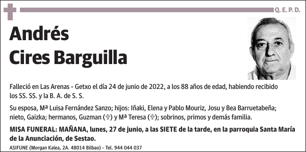 Andrés Cires Barguilla