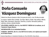 Consuelo  Vázquez  Domínguez