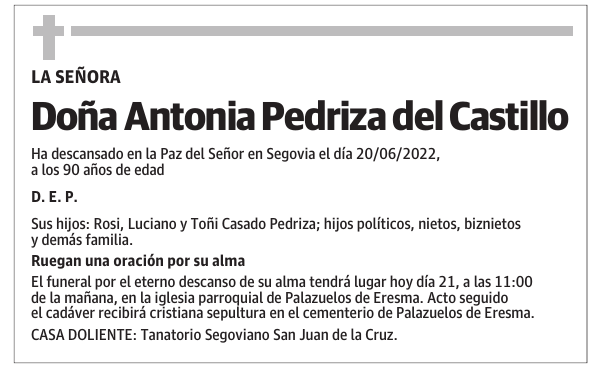 Doña Antonia Pedriza del Castillo