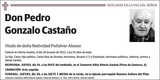 Pedro  Gonzalo  Castaño